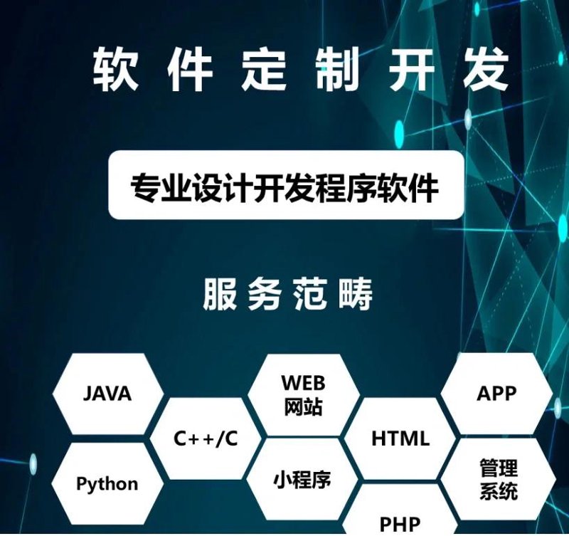APP开发公司:软件时代的革新者